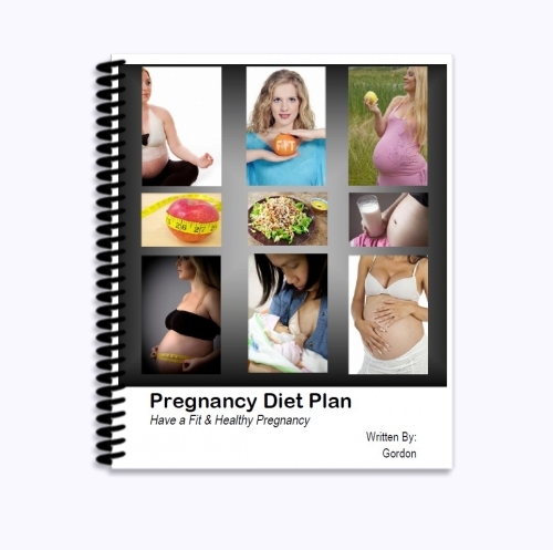 Product picture Pregnancy Diet Ebook