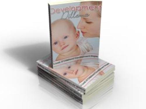 Product picture Development Delimma 