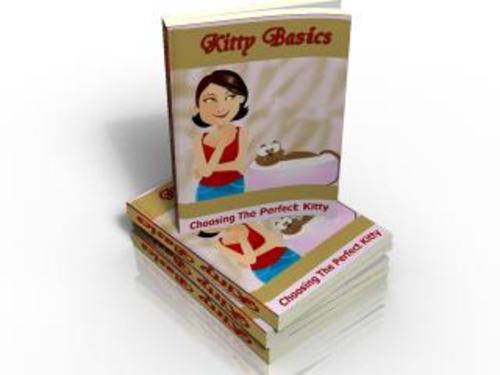 Product picture Kitty Basics 