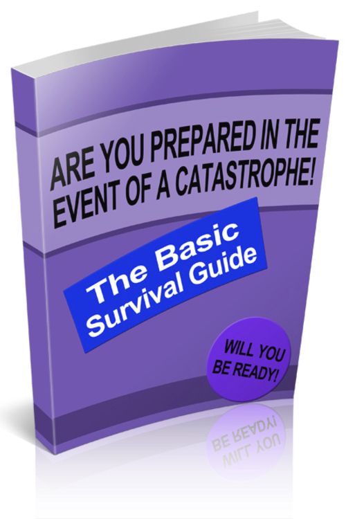 Product picture The Basic Survival Guide 