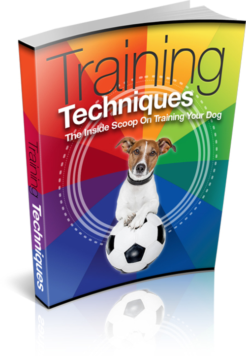 Product picture Training Techniques  DOG