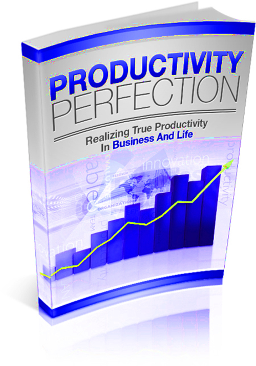 Product picture Productivity Perfection Realizing True Productivity