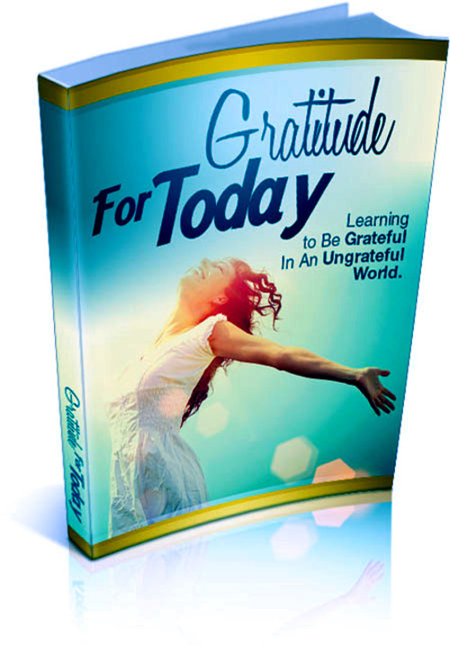 Product picture Gratitude For Today 